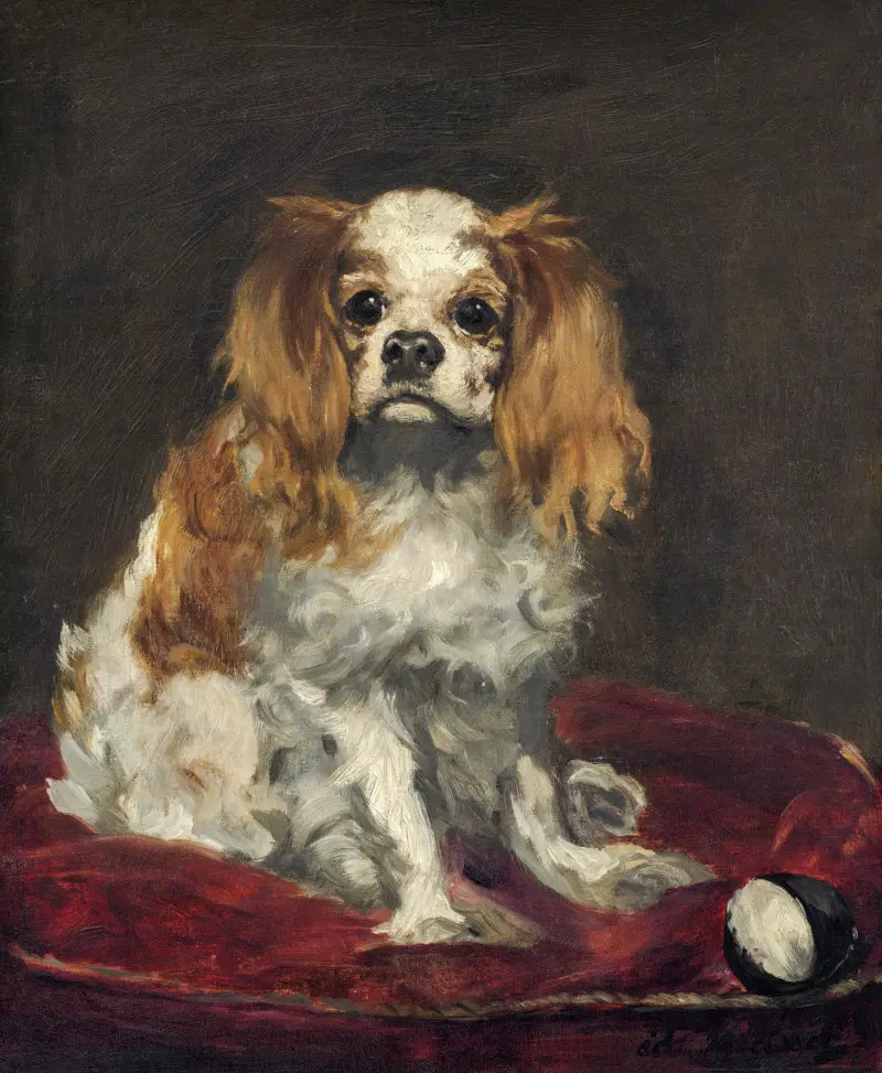 A King Charles Spaniel by Edouard Manet